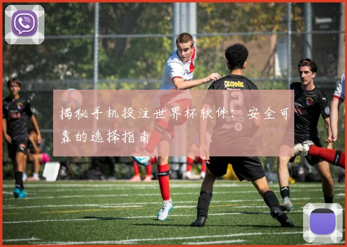 揭秘手机投注世界杯软件：安全可靠的选择指南