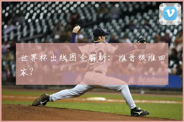 世界杯出线图全解析：谁晋级谁回家？