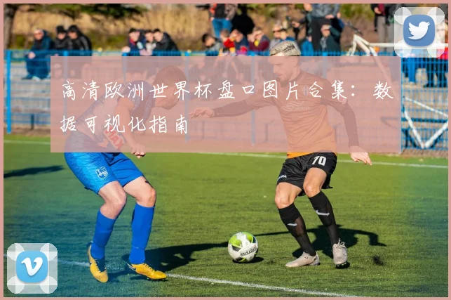 高清欧洲世界杯盘口图片合集：数据可视化指南
