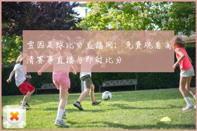雪园足球比分直播网：免费观看高清赛事直播与即时比分