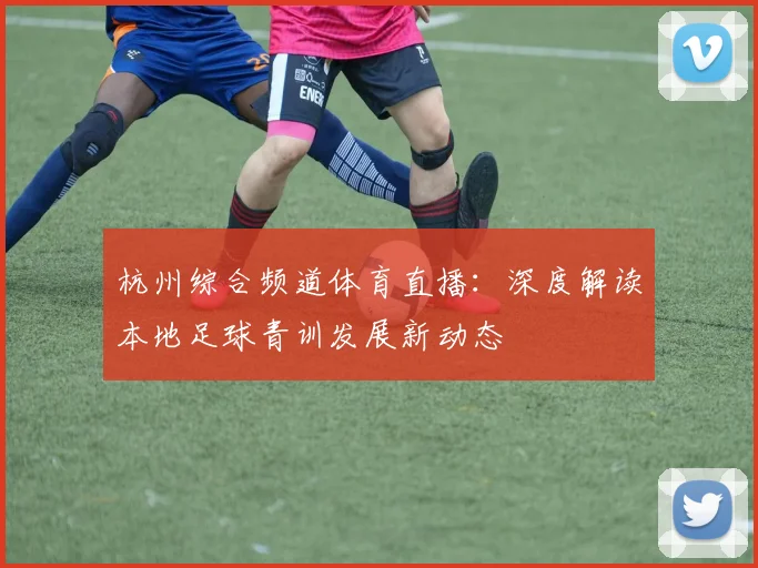 杭州综合频道体育直播:深度解读本地足球青训发展新动态