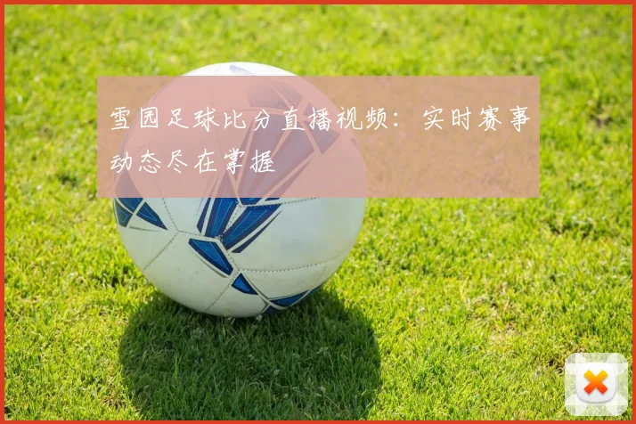 雪园足球比分直播视频：实时赛事动态尽在掌握