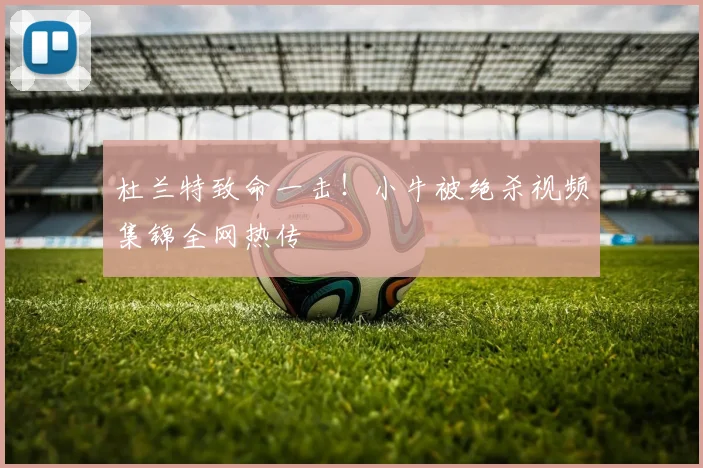 杜兰特致命一击!小牛被绝杀视频集锦全网热传