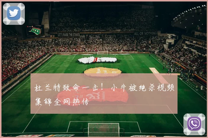 杜兰特致命一击!小牛被绝杀视频集锦全网热传