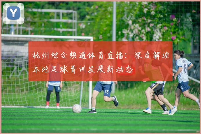 杭州综合频道体育直播:深度解读本地足球青训发展新动态
