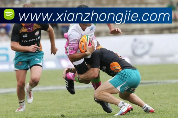 kaiyun开云官方网站发展历程